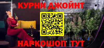 стаф Донской