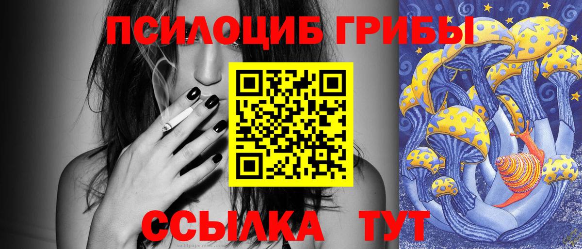 Псилоцибиновые грибы мицелий  купить наркотик  Муравленко  Вход с VPN 